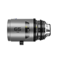 DZO-PAM6528PLIB