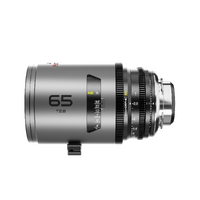 DZO-PAM6528PLIN