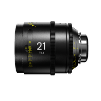 DZO-SAP21IPL