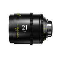 DZO-SAP21MPL