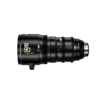 DZO-T189029I