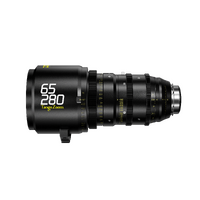 DZO-T6528029I