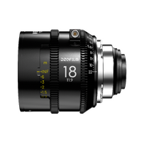 DZO-V218IH