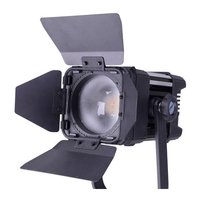 LEDGO 30W Daylight LED Fresnel light