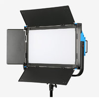 Lishuai 300W 1x2 RGBW LED Panel with Honeycomb Grid and Softbox
