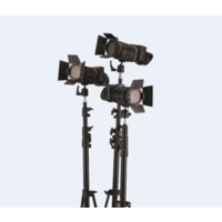3 head 50W Fresnel LED light kit with roller case