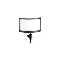 Lishuai W10 curved on location LED light
