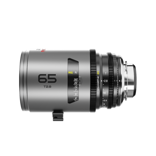 DZO-PAM6528PLIN