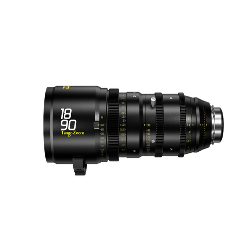 DZO-T189029I