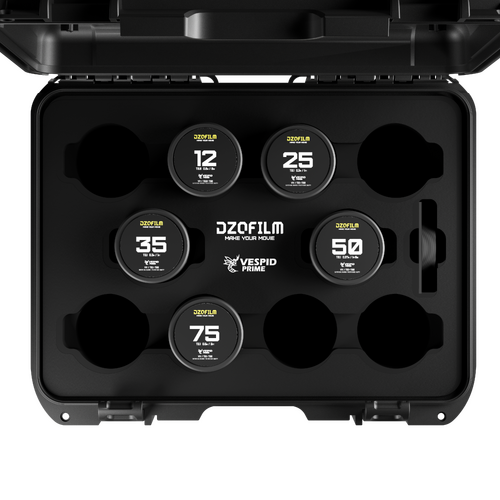 DZO-VP5PL