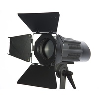 Fresnel LED Lights